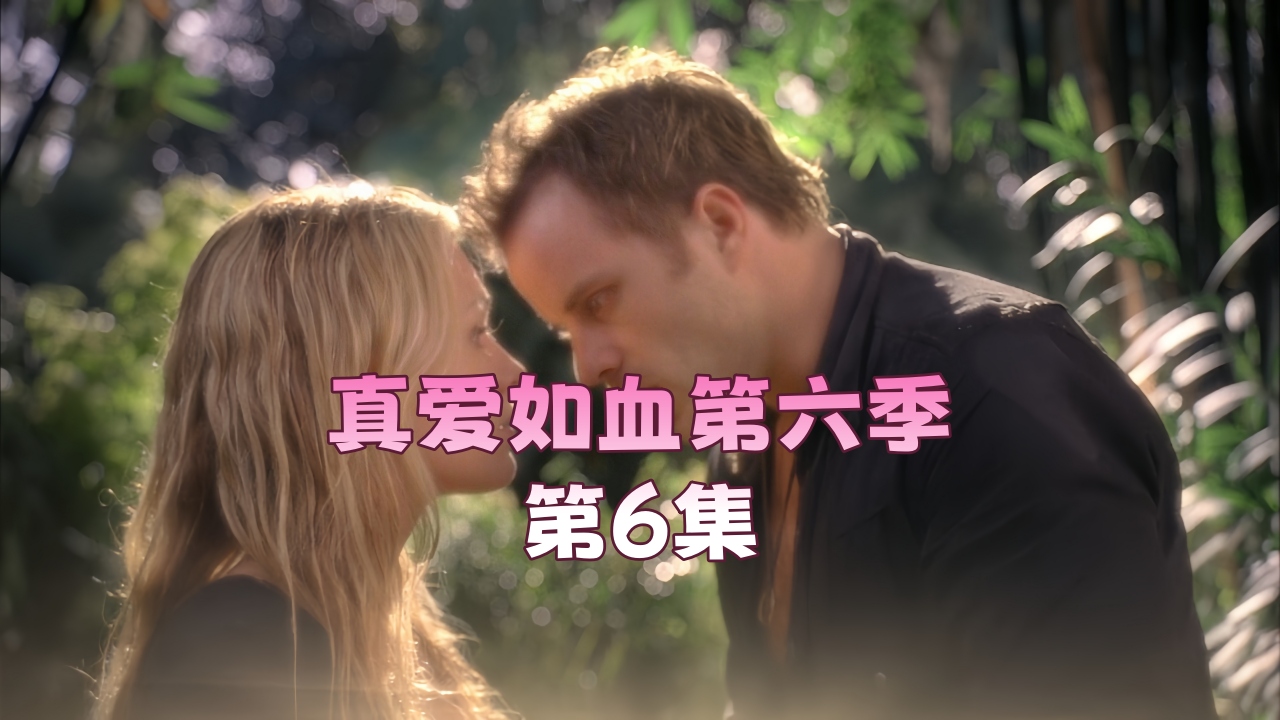 真爱如血.第六季第6集
