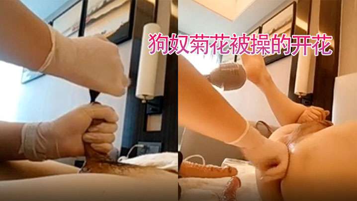 【狗奴舔姨妈巾】狗奴菊花被操的开花-变态