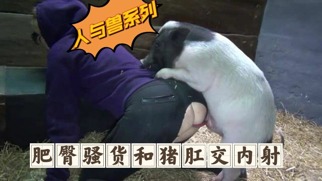 肥臀骚货和猪肛交内射-变态